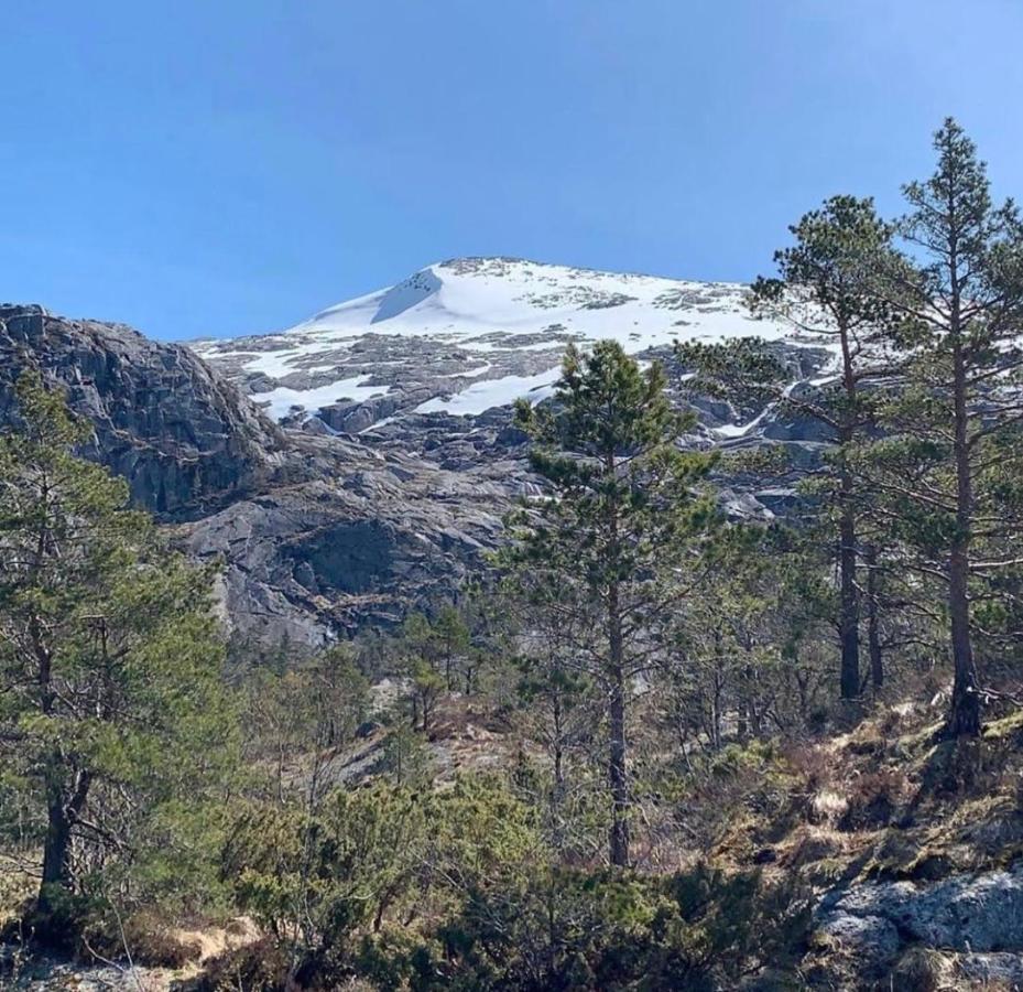 Husnes Sentrum Hotell Εξωτερικό φωτογραφία